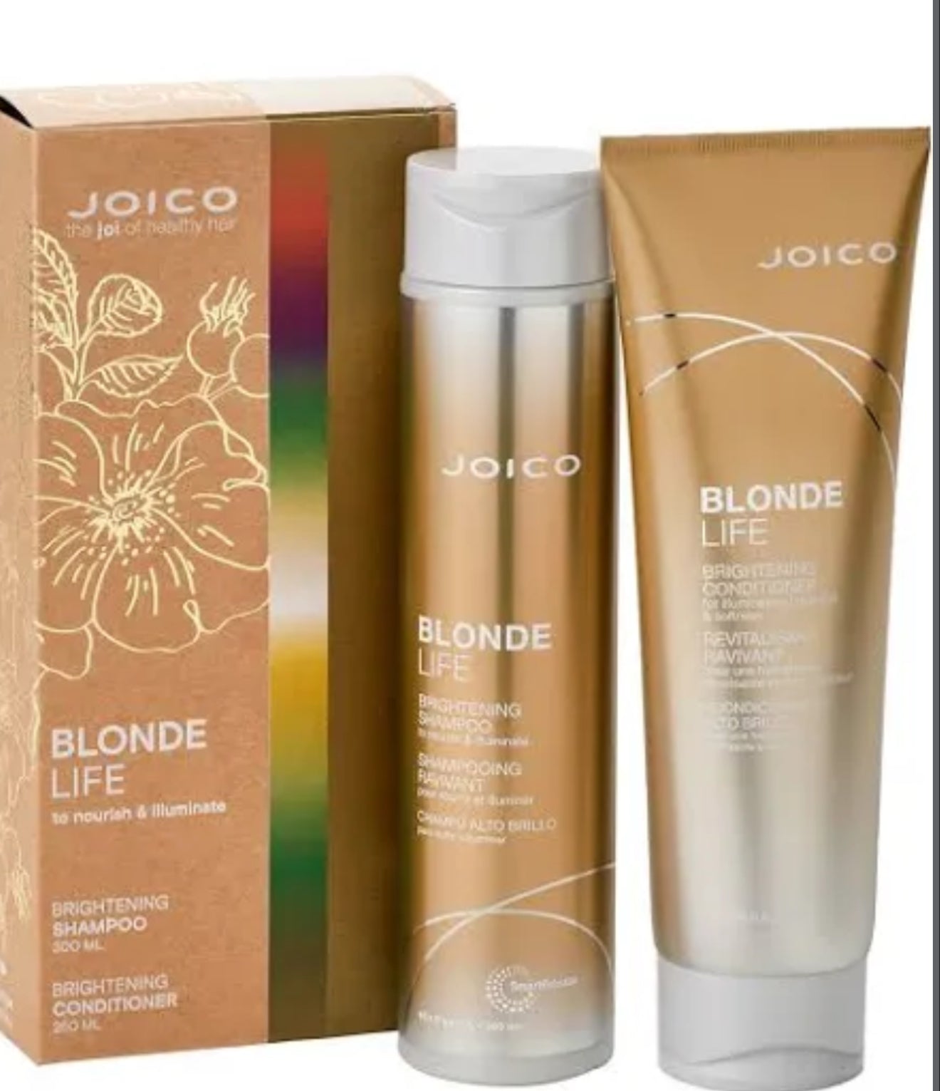 Joico Blonde Life Brightening Duo